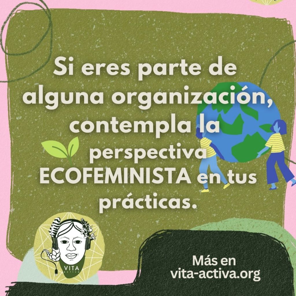 Si eres parte de alguna organización, contempla la perspectiva ECOFEMINISTA en tus prácticas.